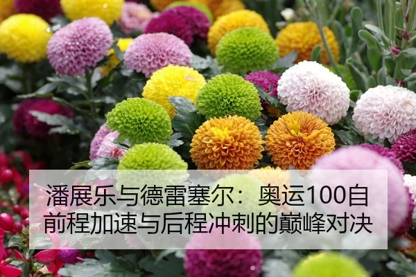 潘展乐与德雷塞尔：奥运100自前程加速与后程冲刺的巅峰对决